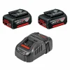 BOSCH MACHINES Pack 2 Batteries 5,0 Ah BOSCH 1600A00B8J GBA 18V + Chargeur GAL1880 CV achat 5